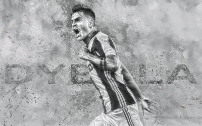 FB体育热评-专业程度获赞