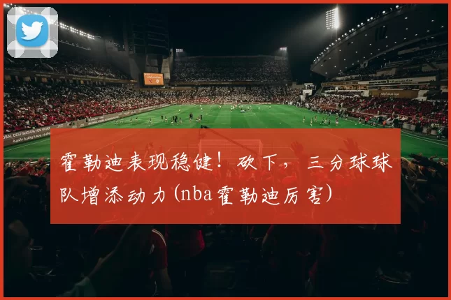 霍勒迪表现稳健！砍下，三分球球队增添动力(nba霍勒迪厉害)